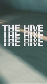 HIVE CAP IN ANTHRACITE